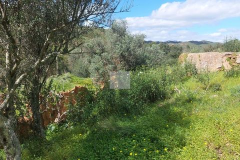 Farm hus i Silves, Faro, Silves - € 550.000 | Ref: 1751 - foto 45