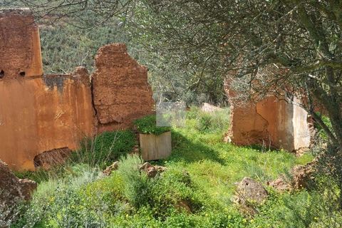 Farm hus i Silves, Faro, Silves - € 550.000 | Ref: 1751 - foto 46