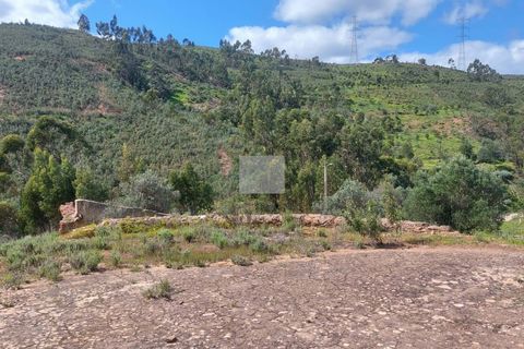 Farm hus i Silves, Faro, Silves - € 550.000 | Ref: 1751 - foto 47
