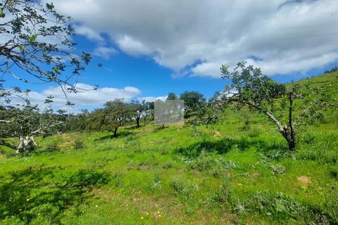 Farm hus i Silves, Faro, Silves - € 550.000 | Ref: 1751 - foto 48
