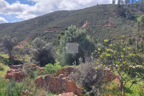 Farm hus i Silves, Faro, Silves - € 550.000 | Ref: 1751 - foto 49