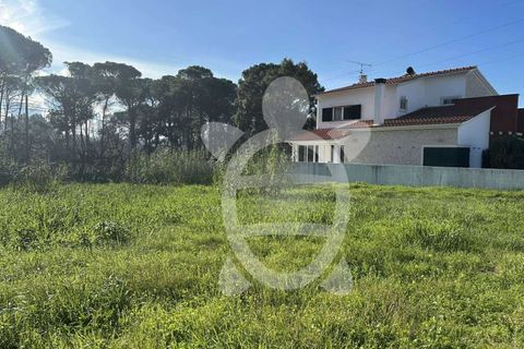 Terra a Condeixa-a-Nova, Coimbra, Condeixa-a-Nova - € 59.500 | Ref: cdx0856 - foto 4