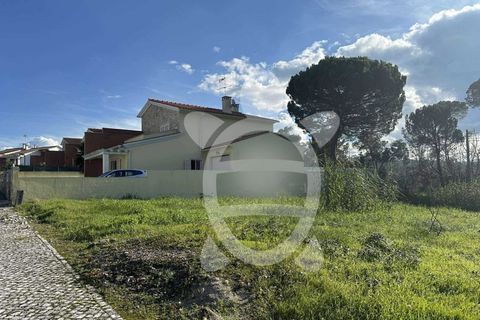 Terra a Condeixa-a-Nova, Coimbra, Condeixa-a-Nova - € 59.500 | Ref: cdx0856 - foto 3