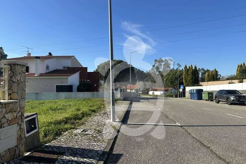Terra a Condeixa-a-Nova, Coimbra, Condeixa-a-Nova - € 59.500 | Ref: cdx0856 - foto 5