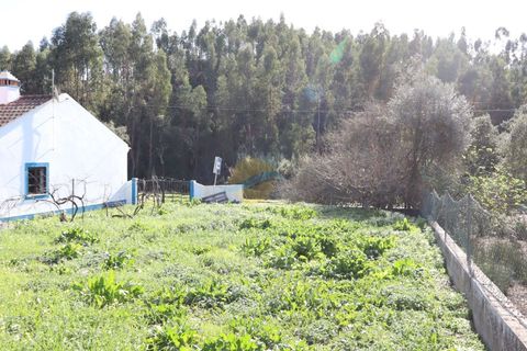 Farm i Odemira, Beja, Odemira - € 410.000 | Ref: ACC053 - foto 8