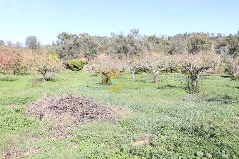 Farm i Odemira, Beja, Odemira - € 410.000 | Ref: ACC053 - foto 35