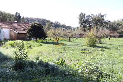 Farm i Odemira, Beja, Odemira - € 410.000 | Ref: ACC053 - foto 36