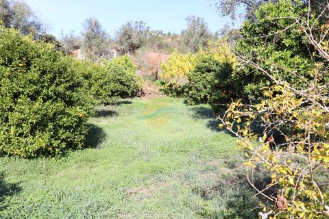 Farm i Odemira, Beja, Odemira - € 410.000 | Ref: ACC053 - foto 37