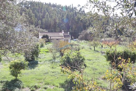 Farm i Odemira, Beja, Odemira - € 410.000 | Ref: ACC053 - foto 10