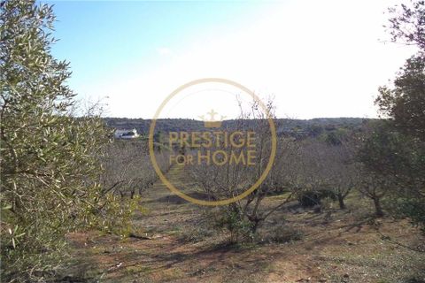 Helårsgrund i Paderne, Faro, Paderne - € 100.000 | Ref: 1149-31 - foto 3