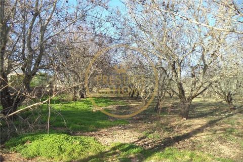 Helårsgrund i Paderne, Faro, Paderne - € 100.000 | Ref: 1149-31 - foto 4