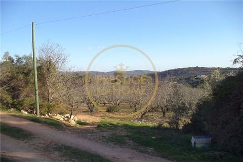 Helårsgrund i Paderne, Faro, Paderne - € 100.000 | Ref: 1149-31 - foto 5