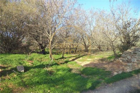 Helårsgrund i Paderne, Faro, Paderne - € 100.000 | Ref: 1149-31 - foto 6