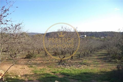Helårsgrund i Paderne, Faro, Paderne - € 100.000 | Ref: 1149-31 - foto 7