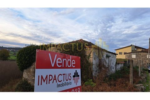 Helårsgrund i Trofa, Porto, Trofa - € 295.000 | Ref: RT1546-1 - foto 2