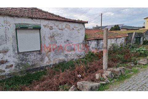 Helårsgrund i Trofa, Porto, Trofa - € 295.000 | Ref: RT1546-1 - foto 1
