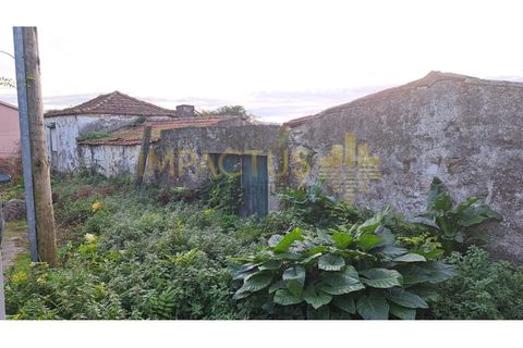 Helårsgrund i Trofa, Porto, Trofa - € 295.000 | Ref: RT1546-1 - foto 3
