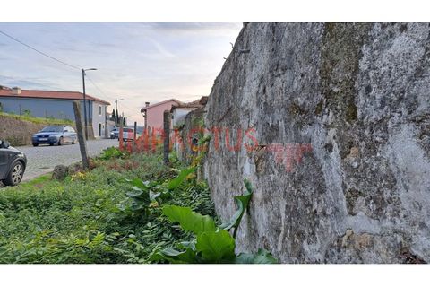Helårsgrund i Trofa, Porto, Trofa - € 295.000 | Ref: RT1546-1 - foto 5