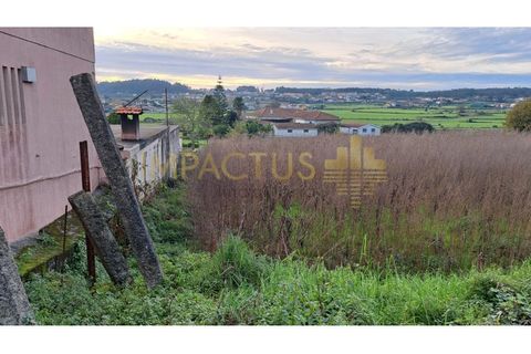 Helårsgrund i Trofa, Porto, Trofa - € 295.000 | Ref: RT1546-1 - foto 6