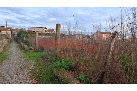 Helårsgrund i Trofa, Porto, Trofa - € 295.000 | Ref: RT1546-1 - foto 8