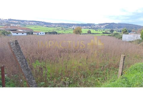Helårsgrund i Trofa, Porto, Trofa - € 295.000 | Ref: RT1546-1 - foto 9