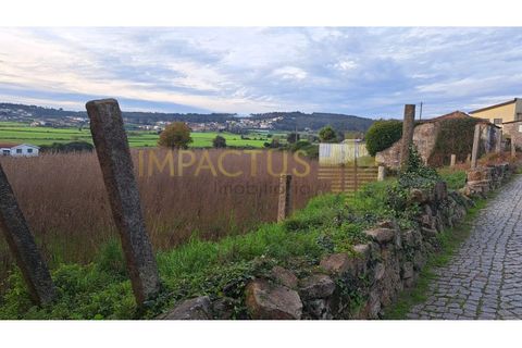 Helårsgrund i Trofa, Porto, Trofa - € 295.000 | Ref: RT1546-1 - foto 10
