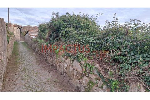 Helårsgrund i Trofa, Porto, Trofa - € 295.000 | Ref: RT1546-1 - foto 11