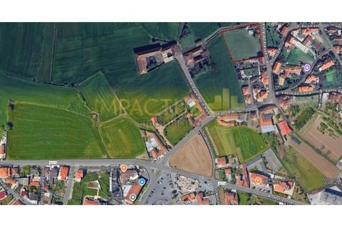 Helårsgrund i Trofa, Porto, Trofa - € 295.000 | Ref: RT1546-1 - foto 15