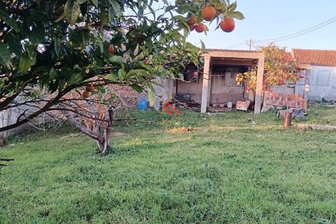 Villa i Lourinha, Lisbon, Lourinha - € 167.000 | Ref: KAT99 - foto 12