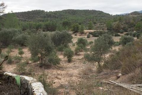 Landejendom i Flix, Tarragona, Flix - € 86.000 | Ref: 935 Moscia - foto 31