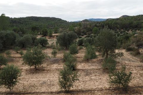 Landejendom i Flix, Tarragona, Flix - € 86.000 | Ref: 935 Moscia - foto 28