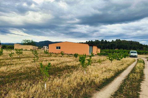 Landejendom i Ginestar, Tarragona, Ginestar - € 59.000 | Ref: 899 Ginmarcel - foto 8