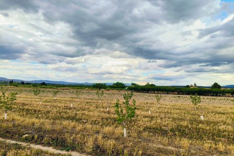 Landejendom i Ginestar, Tarragona, Ginestar - € 59.000 | Ref: 899 Ginmarcel - foto 16