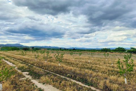 Landejendom i Ginestar, Tarragona, Ginestar - € 59.000 | Ref: 899 Ginmarcel - foto 17