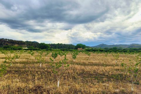 Landejendom i Ginestar, Tarragona, Ginestar - € 59.000 | Ref: 899 Ginmarcel - foto 15
