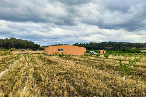 Landejendom i Ginestar, Tarragona, Ginestar - € 59.000 | Ref: 899 Ginmarcel - foto 13