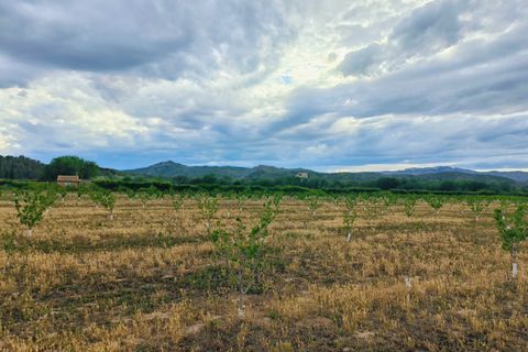 Landejendom i Ginestar, Tarragona, Ginestar - € 59.000 | Ref: 899 Ginmarcel - foto 11