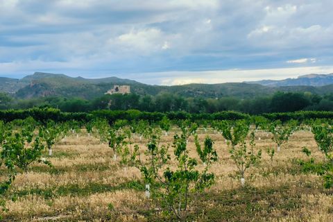 Landejendom i Ginestar, Tarragona, Ginestar - € 59.000 | Ref: 899 Ginmarcel - foto 18