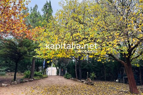 Landejendom i Ontinyent, Valencia, Ontinyent - € 145.000 | Ref: 09590 - foto 21