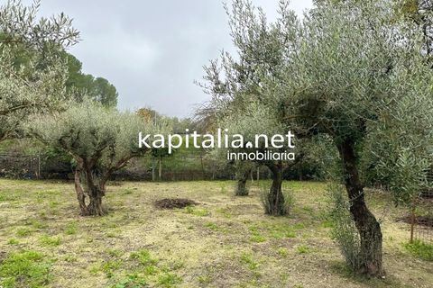 Landejendom i Ontinyent, Valencia, Ontinyent - € 145.000 | Ref: 09590 - foto 24