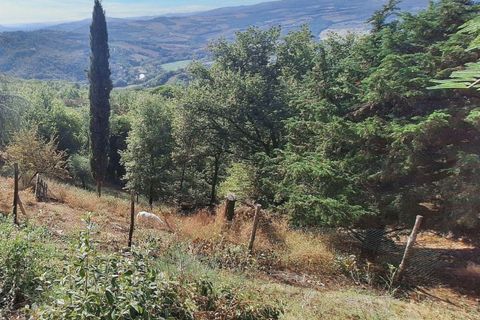 Villa a Todi, Perugia, Todi - € 350.000 | Ref: 24298 - foto 5