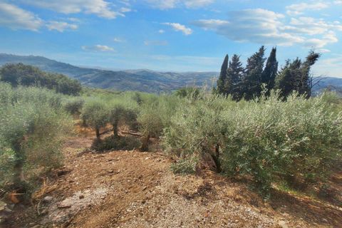 Villa a Todi, Perugia, Todi - € 350.000 | Ref: 24298 - foto 7
