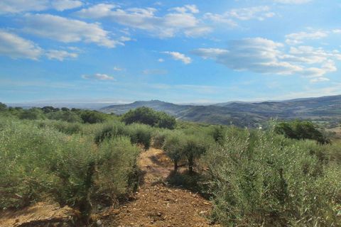 Villa a Todi, Perugia, Todi - € 350.000 | Ref: 24298 - foto 8