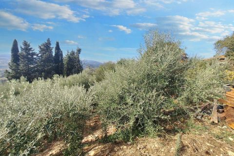Villa a Todi, Perugia, Todi - € 350.000 | Ref: 24298 - foto 9