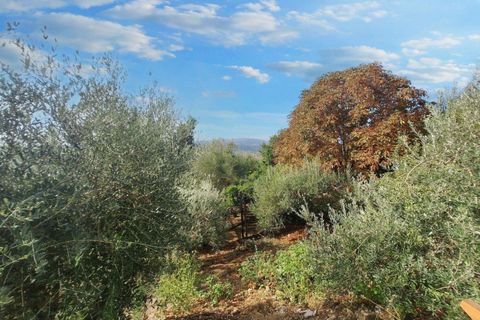 Villa a Todi, Perugia, Todi - € 350.000 | Ref: 24298 - foto 10