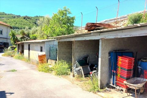 Terra a Pietrabruna, Imperia, Pietrabruna - € 280.235 | Ref: 24284 - foto 5