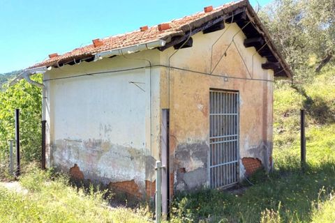 Terra a Pietrabruna, Imperia, Pietrabruna - € 280.235 | Ref: 24284 - foto 7
