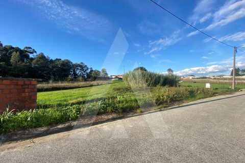 Terra a Fermentelos, Aveiro, Fermentelos - € 55.000 | Ref: 1012166/24 GL - foto 2