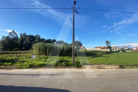 Terra a Fermentelos, Aveiro, Fermentelos - € 55.000 | Ref: 1012166/24 GL - foto 4