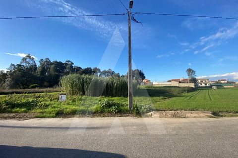 Terra a Fermentelos, Aveiro, Fermentelos - € 55.000 | Ref: 1012166/24 GL - foto 5